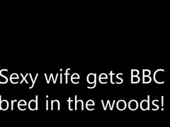 Sexy Girl Gets BBC Bred In The Woods!